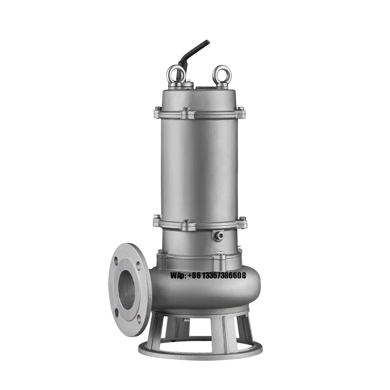 High-Lift Centrifugal Submersi - Water Pump Submersible のレビューと価格