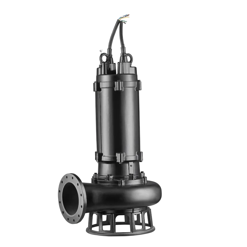 High-Lift Centrifugal Submersi - Water Pump Submersible のレビューと価格